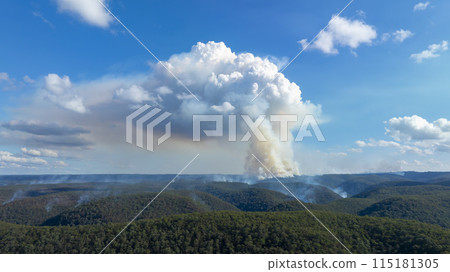 Controlled hazard reduction burning of trees and bushland in the Blue Mountains Controlled hazard reduction burning of trees and bushland in the Blue Mountains 115181305