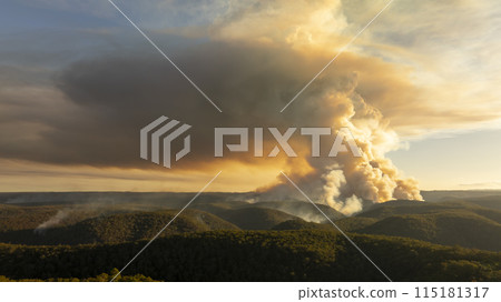 Controlled hazard reduction burning of trees and bushland in the Blue Mountains Controlled hazard reduction burning of trees and bushland in the Blue Mountains 115181317