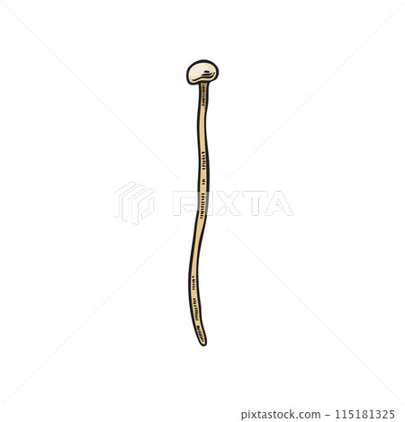 Enoki mushroom illustration. A traditional product of Asian cuisine. Enoki mushroom illustration. A traditional product of Asian cuisine. 115181325