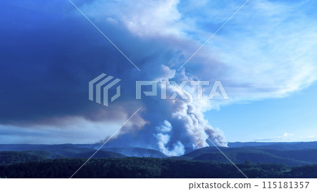 Controlled hazard reduction burning of trees and bushland in the Blue Mountains Controlled hazard reduction burning of trees and bushland in the Blue Mountains 115181357