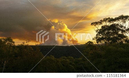 Controlled hazard reduction burning of trees and bushland in the Blue Mountains Controlled hazard reduction burning of trees and bushland in the Blue Mountains 115181364