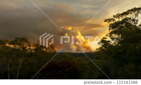 Controlled hazard reduction burning of trees and bushland in the Blue Mountains Controlled hazard reduction burning of trees and bushland in the Blue Mountains 115181366
