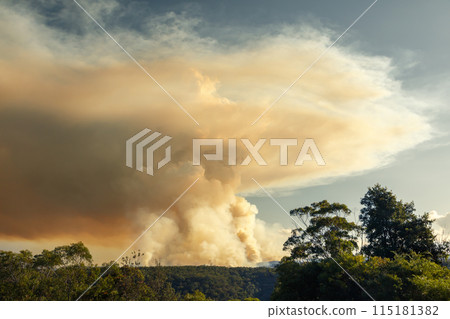 Controlled hazard reduction burning of trees and bushland in the Blue Mountains Controlled hazard reduction burning of trees and bushland in the Blue Mountains 115181382