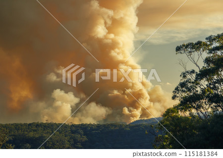 Controlled hazard reduction burning of trees and bushland in the Blue Mountains Controlled hazard reduction burning of trees and bushland in the Blue Mountains 115181384