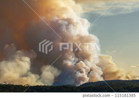 Controlled hazard reduction burning of trees and bushland in the Blue Mountains Controlled hazard reduction burning of trees and bushland in the Blue Mountains 115181385