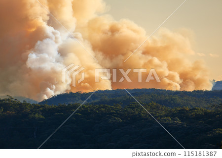 Controlled hazard reduction burning of trees and bushland in the Blue Mountains Controlled hazard reduction burning of trees and bushland in the Blue Mountains 115181387