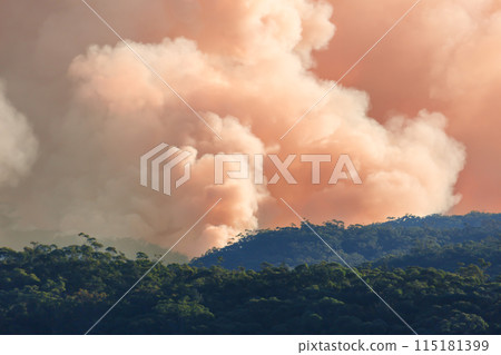 Controlled hazard reduction burning of trees and bushland in the Blue Mountains Controlled hazard reduction burning of trees and bushland in the Blue Mountains 115181399
