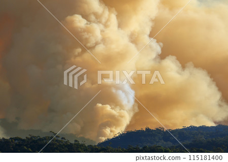 Controlled hazard reduction burning of trees and bushland in the Blue Mountains Controlled hazard reduction burning of trees and bushland in the Blue Mountains 115181400