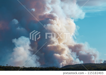 Controlled hazard reduction burning of trees and bushland in the Blue Mountains Controlled hazard reduction burning of trees and bushland in the Blue Mountains 115181403