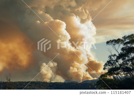 Controlled hazard reduction burning of trees and bushland in the Blue Mountains 115181407