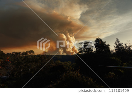 Controlled hazard reduction burning of trees and bushland in the Blue Mountains Controlled hazard reduction burning of trees and bushland in the Blue Mountains 115181409