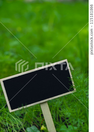 Blank Black billboard against green field garden fresh green herb dill. Empty mockup template Blackboard label at farm land. Copy space banner for your text. Agricultural landscape Blank Black billboard against green field garden fresh green herb dill. Empty mockup template Blackboard label at farm land. Copy space banner for your text. Agricultural landscape 115181866
