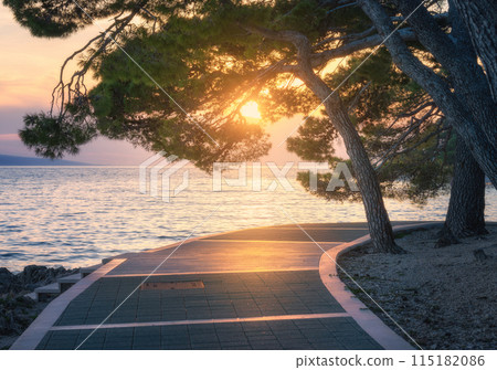 Serene coastal walkway at sunset with lush pine trees in summer 115182086