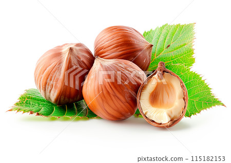 Close-up of shelled and unshelled Hazelnut nuts isolated on a white background, showcasing their texture Close-up of shelled and unshelled Hazelnut nuts isolated on a white background, showcasing their texture 115182153