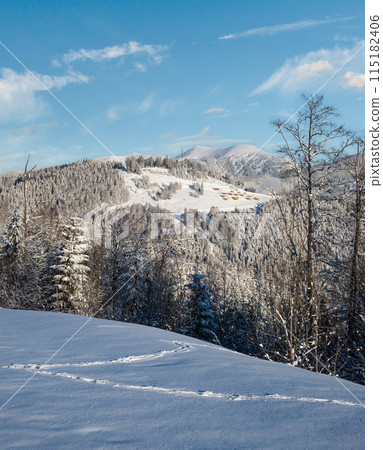 Winter Gorgany massiv mountains scenery view from Yablunytsia pass, Carpathians, Ukraine. 115182406