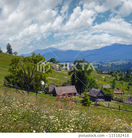 Summer Chornohora massiv mountains scenery view from Sevenei hill (near Yablunytsia pass, Carpathians, Ukraine.) 115182418