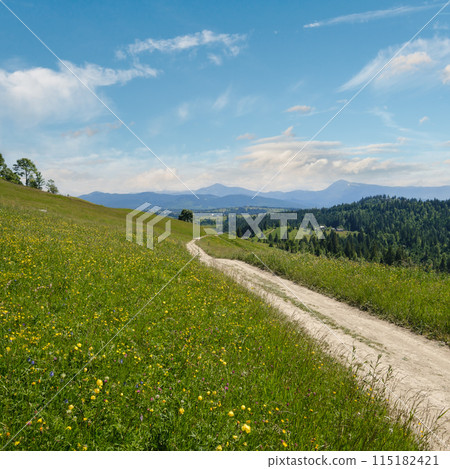 Summer Chornohora massiv mountains scenery view from Sevenei hill (near Yablunytsia pass, Carpathians, Ukraine.) 115182421
