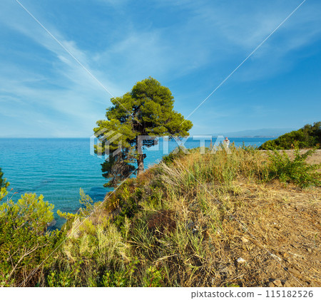 Summer sea coast (Halkidiki, Greece). 115182526