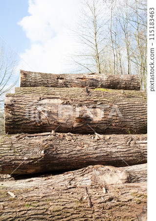 Pile of wood logs, closeup of clean cut of chopped firewood logs. Natural wooden background Pile of wood logs, closeup of clean cut of chopped firewood logs. Natural wooden background 115183463
