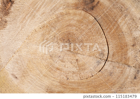 Pile of wood logs, closeup of clean cut of chopped firewood log. Natural wooden background 115183479