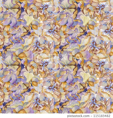 Hand drawn watercolor illustration shabby boho botanical flowers leaves. Hydrangea hortensia purple withered inflorescence. Seamless pattern isolated on white background. Design wedding, love cards Hand drawn watercolor illustration shabby boho botanical flowers leaves. Hydrangea hortensia purple withered inflorescence. Seamless pattern isolated on white background. Design wedding, love cards 115183482