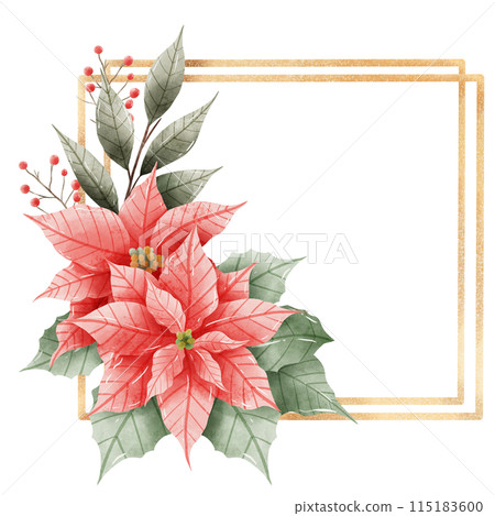 Watercolor Hand drawn illustration Christmas compositions with poinsettia flowers Frame for holiday invitation, card design clipart print new year decor for print, label, invitation design Watercolor Hand drawn illustration Christmas compositions with poinsettia flowers Frame for holiday invitation, card design clipart print new year decor for print, label, invitation design 115183600