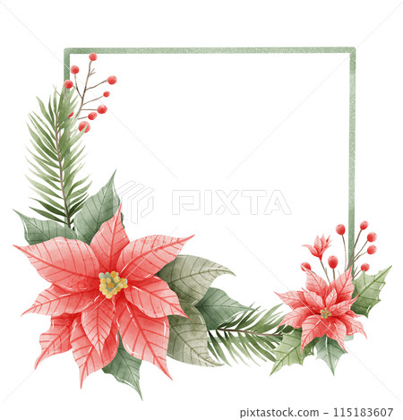 Watercolor Hand drawn illustration Christmas compositions with poinsettia flowers Frame for holiday invitation, card design clipart print new year decor for print, label, invitation design  115183607