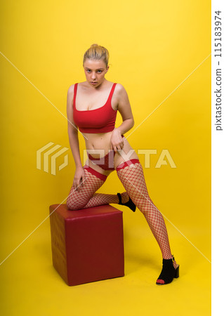 Studio portrait gorgeous young woman in lingerie, blonde beauty in professional makeup. Studio portrait gorgeous young woman in lingerie, blonde beauty in professional makeup. 115183974