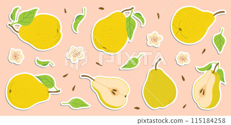 Ripe juicy pears. Hand drawn colorful pear stickers set, with flowers and leaves. Ripe juicy pears. Hand drawn colorful pear stickers set, with flowers and leaves. 115184258