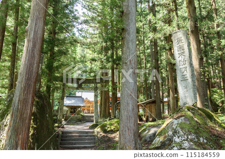 山梨縣築宇駒岳神社被樹木環繞 山梨縣築宇駒岳神社被樹木環繞 115184559
