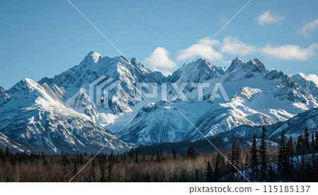 Snowy mountains of Alaska, landscape with forests, valleys, and rivers in daytime. Breathtaking nature composition background wallpaper, travel destination, adventure outdoors 115185137