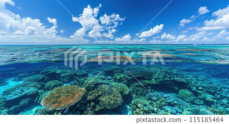 Great Barrier Reef on the coast of Queensland, Australia seascape. Coral sea marine ecosystem underwater split view with a blue daylight sky wallpaper background 115185464