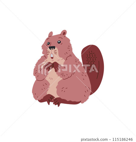 Vector image of a charming scared brown beaver with a flat tail and two teeth 115186246