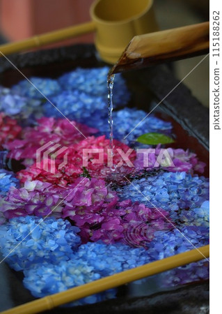 A flower-shaped water basin decorated with hydrangeas 115188262