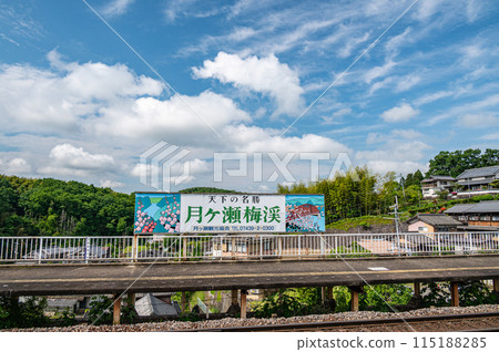 JR西日本關西線 月瀨口站 京都府南山城村 115188285