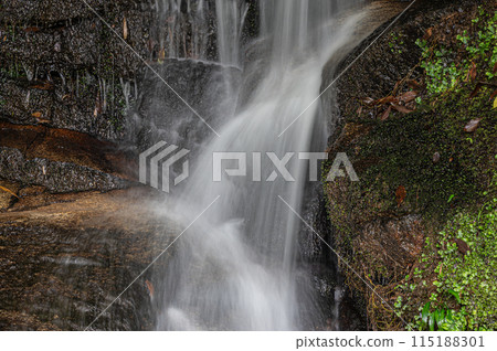 京都府南山城村流入木津川的小瀑布 京都府南山城村流入木津川的小瀑布 115188301