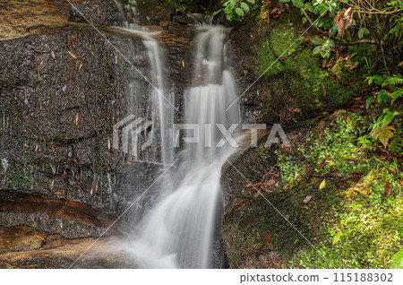 A small waterfall flowing into the Kizu River, Minamiyamashiro Village, Kyoto Prefecture 115188302