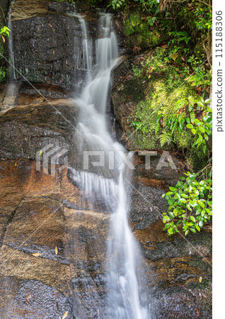 A small waterfall flowing into the Kizu River, Minamiyamashiro Village, Kyoto Prefecture 115188306