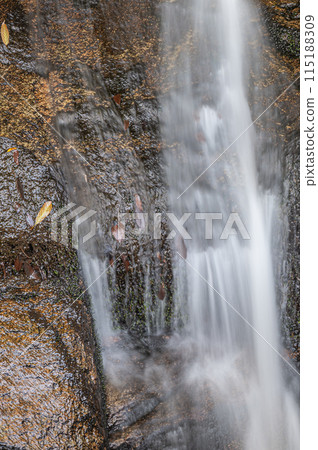 A small waterfall flowing into the Kizu River, Minamiyamashiro Village, Kyoto Prefecture A small waterfall flowing into the Kizu River, Minamiyamashiro Village, Kyoto Prefecture 115188309