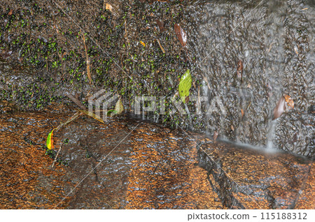 A small waterfall flowing into the Kizu River, Minamiyamashiro Village, Kyoto Prefecture A small waterfall flowing into the Kizu River, Minamiyamashiro Village, Kyoto Prefecture 115188312