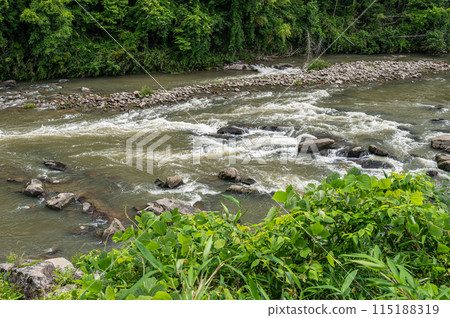 京都府南山城村京都南部的山間溪流木津川 115188319