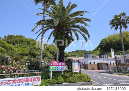 The entrance to Kanmuriyama Park during the Rose Festival (Hikari City, Yamaguchi Prefecture) The entrance to Kanmuriyama Park during the Rose Festival (Hikari City, Yamaguchi Prefecture) 115188903