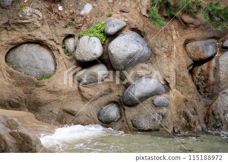 松山白石諾娜集團 115188972