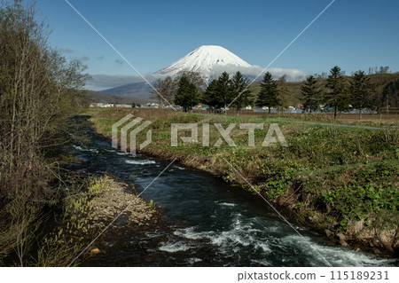 早春的羊蹄山 115189231