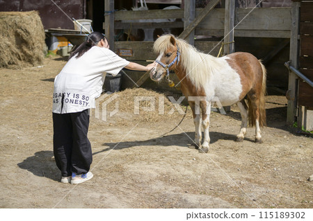 Woman interacting with horses Woman interacting with horses 115189302