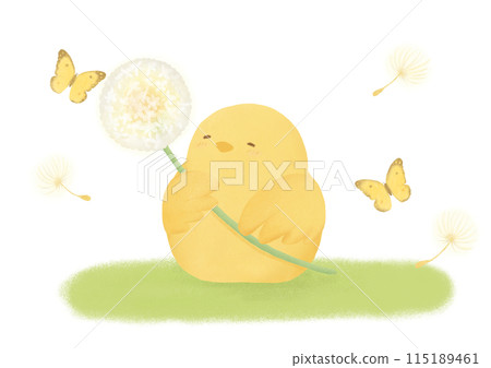 Chicks, fluff and butterflies on the grass 115189461