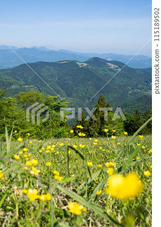 秩父的自然-堂平山的景色 秩父的自然-堂平山的景色 115189502