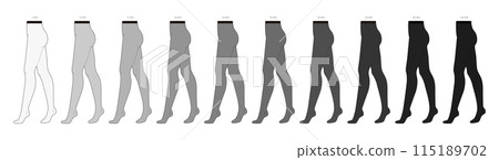 Set of different Den Denier Opaques Tights Pantyhose on legs. Fashion accessory clothing technical illustration stocking 115189702