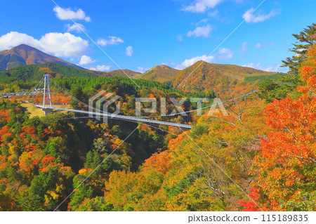 秋天的九重夢吊橋(大分縣九重町) 秋天的九重夢吊橋(大分縣九重町) 115189835
