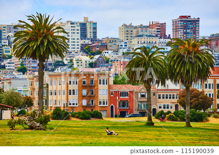 Alamo Square grassy field with person resting in lawn chair and palm trees in front of housing 115190039